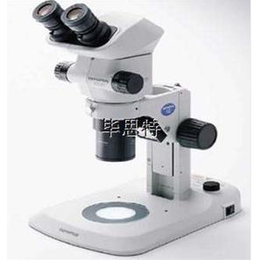 毕思特7-UV高倍荧光照相立体显微镜