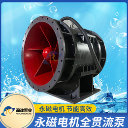 全贯流潜水电泵生产厂家润津泵业
