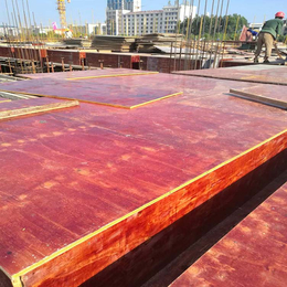 15厚建筑木模板 板面平整易脱模 使用次数多 批发工程模板