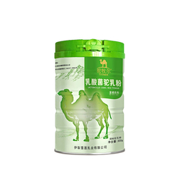 新疆乳酸菌奶粉 乳酸菌骆驼奶粉推荐