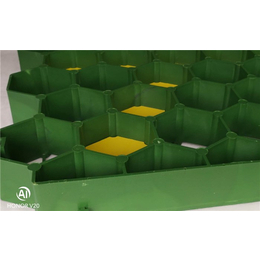 安徽植草格-塑料植草格排水板-植草格生产厂家(推荐商家)