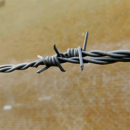 河北镀锌刺绳厂家供应来宾不锈钢钢丝网三沙热镀锌钢丝网