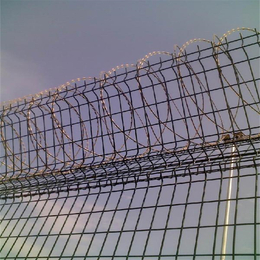 河北镀锌刀片刺绳厂家供应阿拉尔滚笼铁丝防爬网那曲铁丝网围栏