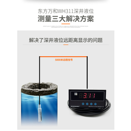 综合水温水位监测记录仪WH311
