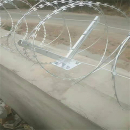 河北刺丝滚笼厂家供应石河子机场防护网防盗隔离钢网