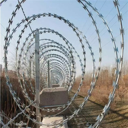 河北刺丝滚笼厂家供应滁州围墙防爬刺网宿州边境防护网
