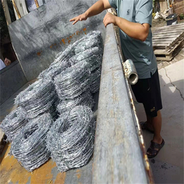 河北镀锌刺绳厂家供应三门峡隔离护栏网平顶山不锈钢刺网