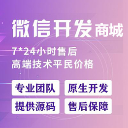 广州七件事微商城系统增加复购率降低运营成本维护缩略图