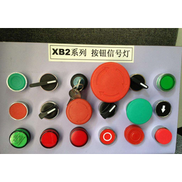 施耐德XB2BD21C按钮+指示灯