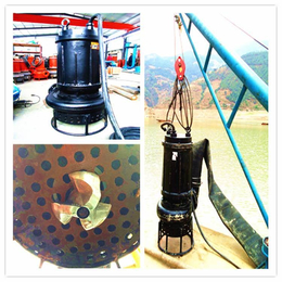 选矿用潜水矿浆泵 高铬材质尾砂输送泵