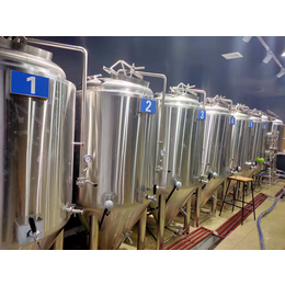 杭州精酿啤酒设备5吨5器大型精酿啤酒设备厂家