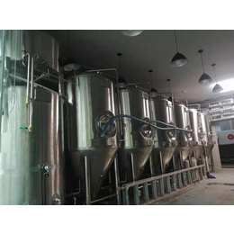 日产3000升精酿啤酒设备自酿啤酒设备定制厂家供应
