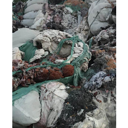 工业固废处置公司上海松江电子垃圾处理一般工业废料处理电话