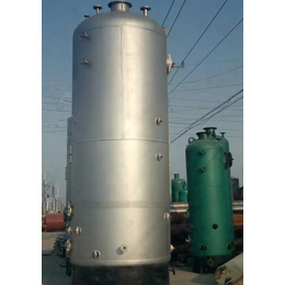燃气蒸汽发生器-蓝山锅炉(在线咨询)-六盘水市蒸汽发生器