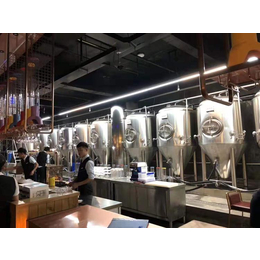 供应饭店的精酿啤酒设备厂家一天产量2吨的啤酒设备多少钱