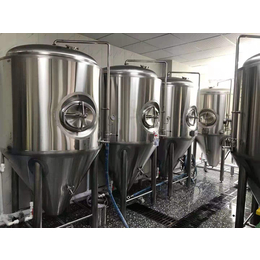 小型精酿啤酒设备价格 日产500升啤酒设备 啤酒设备厂家缩略图