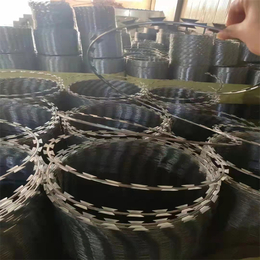 河北刺丝滚笼厂家供应海东钢网刺铁丝隔离栅