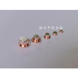 上海磁保持继电器大功率银触点厂家定制电触头