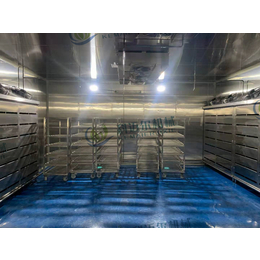 供应肉类解冻的不锈钢解冻设备低温高湿解冻机