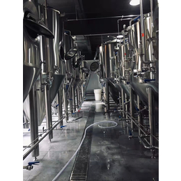 建精酿啤酒厂交工程 做啤酒设备价格多少 精酿啤酒设备型号