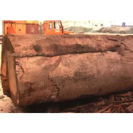 贝壳杉木材进口清关代理博隽供应链李经理专做木材进口