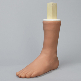 SAWBONES 1518-64脚踝解剖模型
