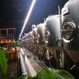 南京啤酒屋小型精酿啤酒设备 1500升啤酒设备价格酿酒设备