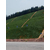 高速道路河道护坡绿化喷播土壤粘合剂缩略图2