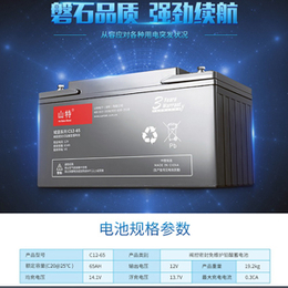 山特蓄电池12V100AH消防UPS电源免维护蓄电池