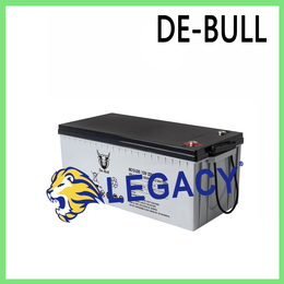 De-BULL蓄电池DE BULL230AH12V深循环电池