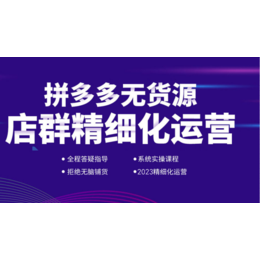 拼多多运营新玩法新店入门类目玩法教程运营知识实战培训招商