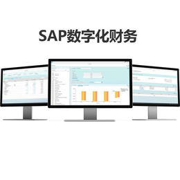 SAP CRM软件 哲讯科技 SAP方案服务商