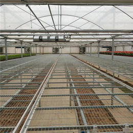 建造农业温室移动式苗床盆栽植物苗床河北苗床制造厂家