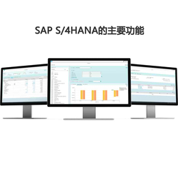 SAP S/4本地部署 选择哲讯科技 SAP实施公司