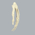 供应SAWBONES 1008-1手骨骼解剖模型缩略图1