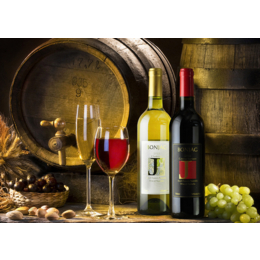 红酒进口冷知识怎么从法国进口红酒葡萄酒详细解答