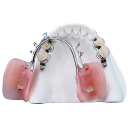 义齿氧化锆生产厂家 种植牙 烤瓷牙 支架义齿