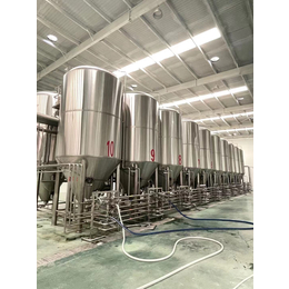 广西全自动精酿啤酒设备生产线