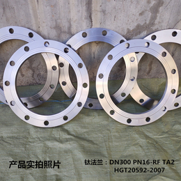 厂家生产钛法兰 TA2板式平焊法兰 钛法兰环 高强度钛锻件 缩略图