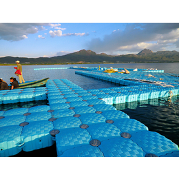 广州恒桥-比赛码头训练码头边检码头*浮游泳池水上平供应商