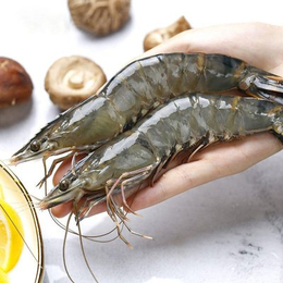 冷冻海鲜水产品黑虎虾进口需要注意的事项