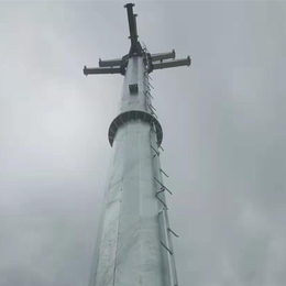 热镀锌110KV输电钢杆塔 18米钢电线杆重量 铁电线杆