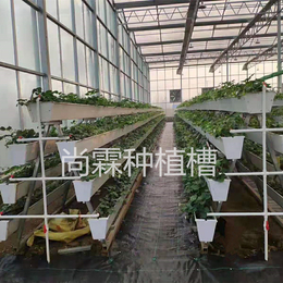 草莓栽培槽 采摘棚草莓立体种植槽 无土栽培设备