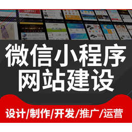 广州营销型网站建设  会员网站建设  小程序