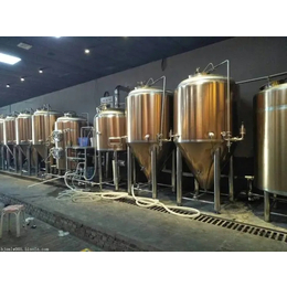 四川甘孜酒店500升小型啤酒设备啤酒发酵罐设备