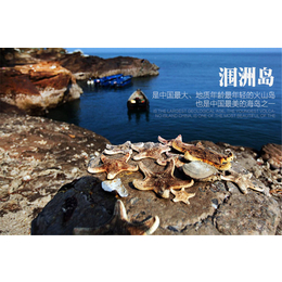 广西北海银滩 涠洲岛 鳄鱼山火山口地质公园三天游 