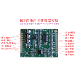 DSP数字效果器模块缩略图