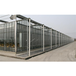 玻璃温室建造商-齐鑫温室园艺(图)-玻璃板温室建造供应商