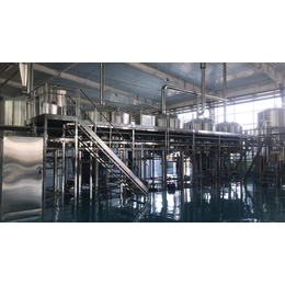 精酿啤酒设备生产厂家国内自动化大型啤酒厂设备
