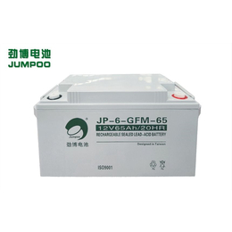 劲博蓄电池JP-HSE-100-12 劲博电池